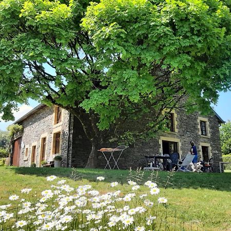 La Maison Des Marguerites Vresse-sur-Semois Bagian luar foto