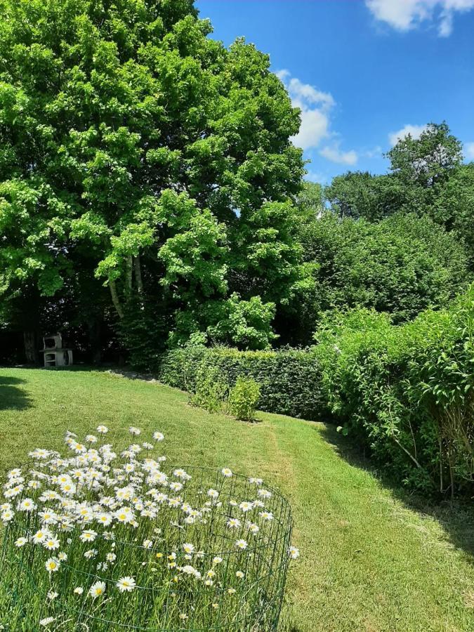 La Maison Des Marguerites Vresse-sur-Semois Bagian luar foto