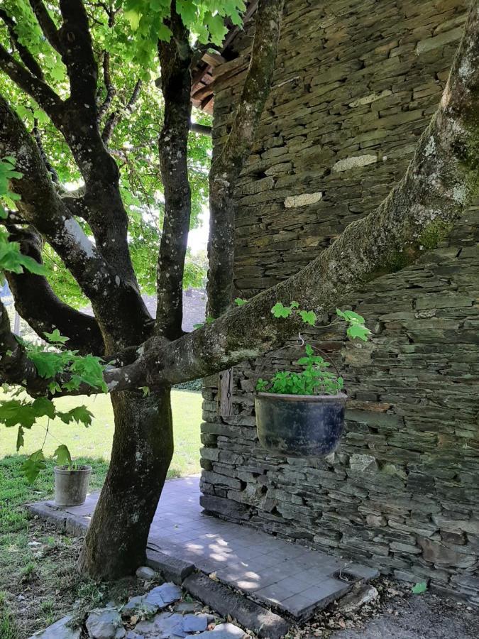 La Maison Des Marguerites Vresse-sur-Semois Bagian luar foto