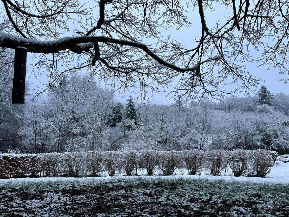 La Maison Des Marguerites Vresse-sur-Semois Bagian luar foto