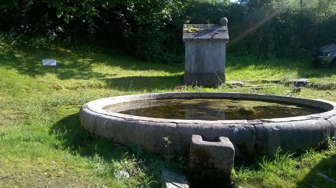 La Maison Des Marguerites Vresse-sur-Semois Bagian luar foto