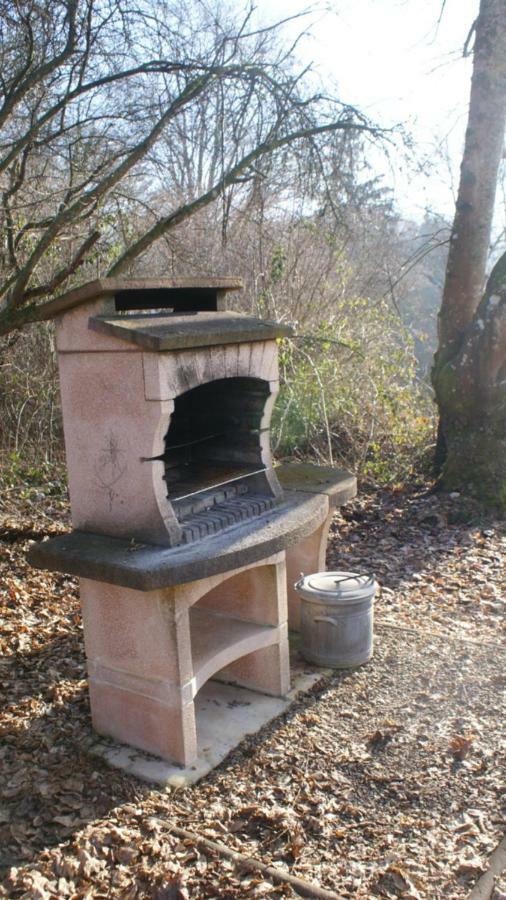 La Maison Des Marguerites Vresse-sur-Semois Bagian luar foto