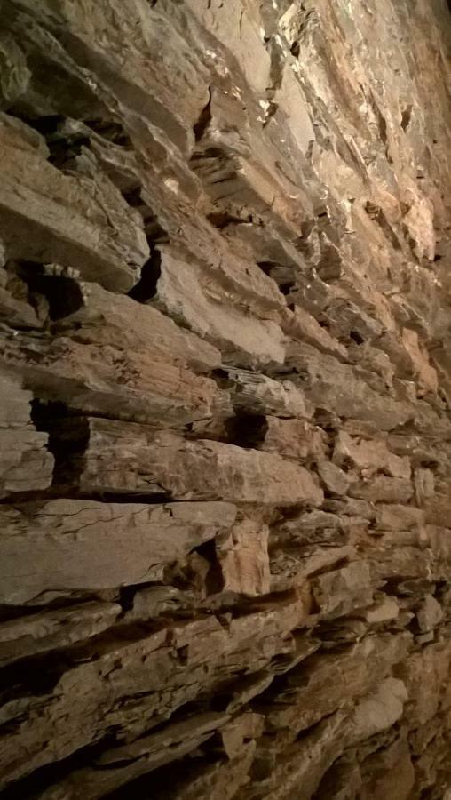 La Maison Des Marguerites Vresse-sur-Semois Bagian luar foto
